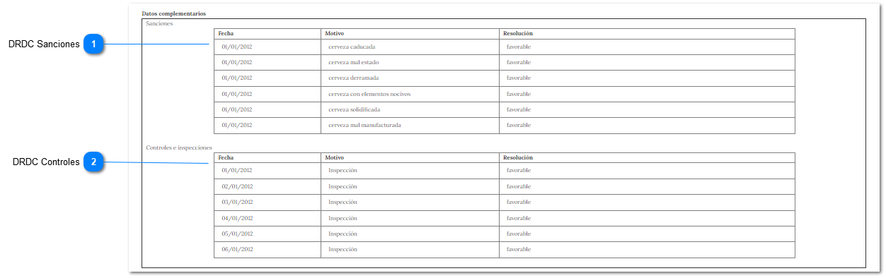 2.1.2.2.1.1.3. División A - Detalle de Registro - Sección Datos Complementarios