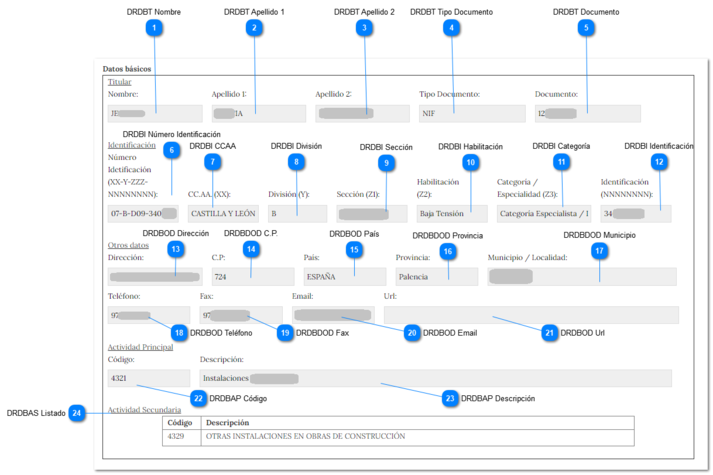 Divisiones B y C - Detalle de Registro - Sección Datos Básicos